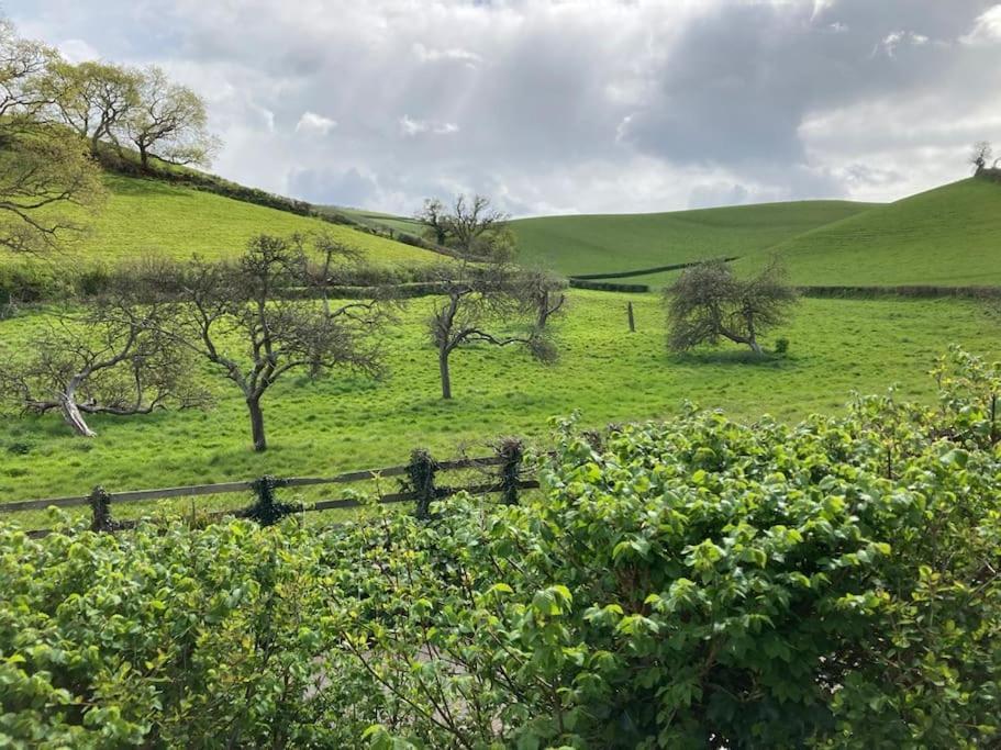 Charming Countryside Cottage Ground Floor Apartment In Combeinteignhead Devon Bishopsteignton المظهر الخارجي الصورة